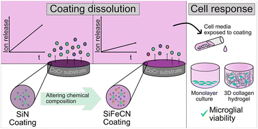 Graphical abstract: Fe and C additions decrease the dissolution rate of silicon nitride coatings and are compatible with microglial viability in 3D collagen hydrogels