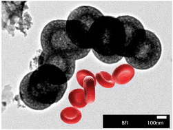 Graphical abstract: Architecture of dual emissive three-dimensional nanostructure composites containing graphitic 2D sheets and iron oxide nanoparticles: detection of short single-stranded DNA sequences