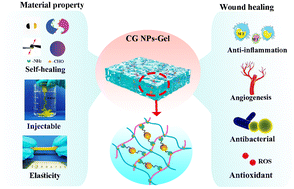 Graphical abstract: An injectable elastic hydrogel crosslinked with curcumin–gelatin nanoparticles as a multifunctional dressing for the rapid repair of bacterially infected wounds