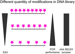 Graphical abstract: Dependence of click-SELEX performance on the nature and average number of modified nucleotides