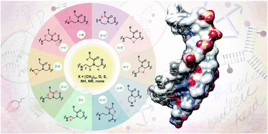 Graphical abstract: Perspectives on conformationally constrained peptide nucleic acid (PNA): insights into the structural design, properties and applications