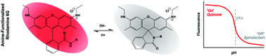 Graphical abstract: A library of Rhodamine6G-based pH-sensitive fluorescent probes with versatile in vivo and in vitro applications