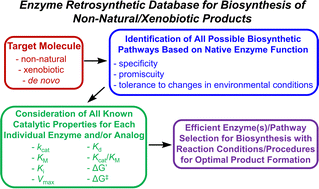 Graphical abstract: Alternative design strategies to help build the enzymatic retrosynthesis toolbox