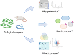 Graphical abstract: Finding a vocation for validation: taking proteomics beyond association and location