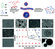 Graphical abstract: Degradable polymeric nanomaterials with a high solid content and multiple morphologies by polymerization-induced self-assembly