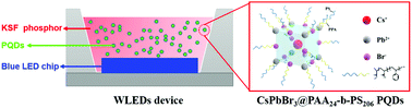 Graphical abstract: Polyacrylic acid-b-polystyrene-passivated CsPbBr3 perovskite quantum dots with high photoluminescence quantum yield for light-emitting diodes