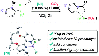 Graphical abstract: Merging C–C σ-bond activation of cyclobutanones with CO2 fixation via Ni-catalysis
