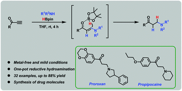 Graphical abstract: Metal-free synthesis of β-aminoketones by the reductive hydroamination of ynones