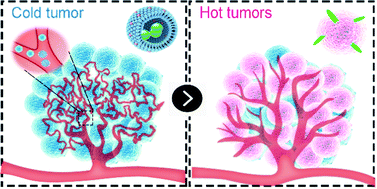 Graphical abstract: Relieving immunosuppression by Endo@PLT targeting anti-angiogenesis to improve the efficacy of immunotherapies