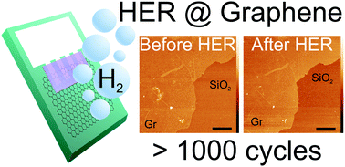 Graphical abstract: A highly durable graphene monolayer electrode under long-term hydrogen evolution cycling