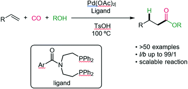 Graphical abstract: Ligand-enabled palladium-catalyzed hydroesterification of vinyl arenes with high linear selectivity to access 3-arylpropanoate esters