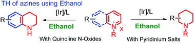 Graphical abstract: Transfer hydrogenation of pyridinium and quinolinium species using ethanol as a hydrogen source to access saturated N-heterocycles