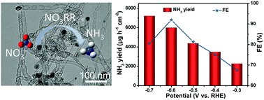 Graphical abstract: Co–NCNT nanohybrid as a highly active catalyst for the electroreduction of nitrate to ammonia