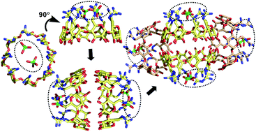 Graphical abstract: A guanidino-γ-cyclodextrin superdimer generates a twin receptor for phosphate dimers assembled by anti-electrostatic hydrogen bonds