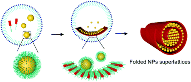 Graphical abstract: Folding of two-dimensional nanoparticle superlattices enabled by emulsion-confined supramolecular co-assembly