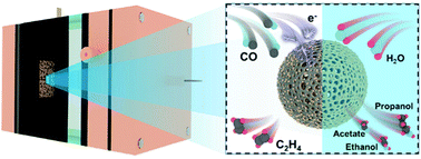 Graphical abstract: Interface regulation promoting carbon monoxide gas diffusion electrolysis towards C2+ products