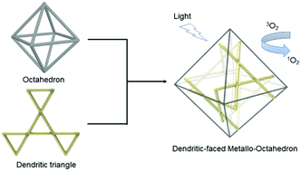 Graphical abstract: An organic-Ru2+ cluster-initiated dendritic faced metallo-octahedron and its unpredictable photoactivity