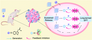 Graphical abstract: Sustained-release nanocapsule based on a 3D COF for long-term enzyme prodrug therapy of cancer