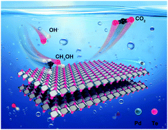 Graphical abstract: Electro-exfoliated PdTe2 nanosheets for enhanced methanol electrooxidation performance in alkaline media