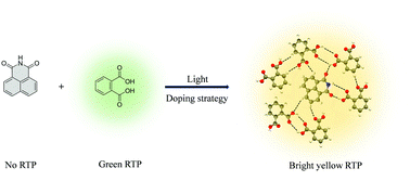 Graphical abstract: Activating room-temperature phosphorescence of 1,8-naphthalimide by doping into aromatic dicarboxylic acids