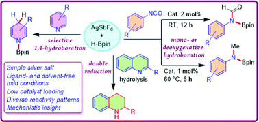 Graphical abstract: Simple silver(i)-salt catalyzed selective hydroboration of isocyanates, pyridines, and quinolines