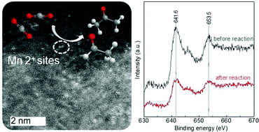 Graphical abstract: Mn(ii) sub-nanometric site stabilization in noble, N-doped carbonaceous materials for electrochemical CO2 reduction