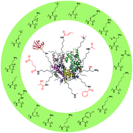 Graphical abstract: Probing lysine posttranslational modifications by unnatural amino acids