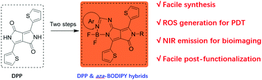 Graphical abstract: Design, synthesis and applications of NIR-emissive scaffolds of diketopyrrolopyrrole-aza-BODIPY hybrids