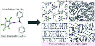 Graphical abstract: Supramolecular networks by imine halogen bonding