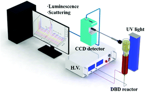 Graphical abstract: In situ optical spectroscopy for monitoring plasma-assisted formation of lanthanide metal–organic frameworks