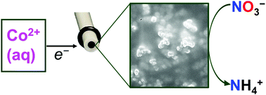 Graphical abstract: Electrocatalytic reduction of nitrate by in situ generated cobalt nanoparticles