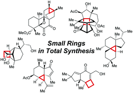 Graphical abstract: Total syntheses of strained polycyclic terpenes
