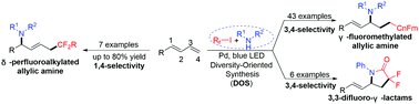 Graphical abstract: Diversity-oriented synthesis of fluoroalkylated amines via the palladium-catalyzed divergent fluoroalkylamination of 1,3-dienes