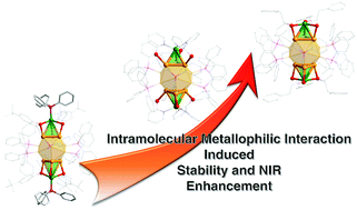 Graphical abstract: An insight, at the atomic level, into the intramolecular metallophilic interaction in nanoclusters