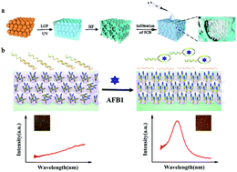 Graphical abstract: Partial induced reorientation of 5CB in a liquid crystal microarray and a signal-on sensing assay for the detection of aflatoxin B1
