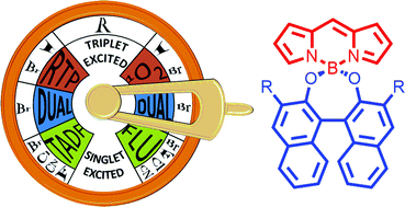 Graphical abstract: BINOL blocks as accessible triplet state modulators in BODIPY dyes