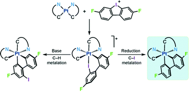 Graphical abstract: Phosphorescent biaryl platinum(iv) complexes obtained through double metalation of dibenzoiodolium ions