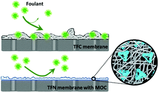 Graphical abstract: Metal–organic cage incorporating thin-film nanocomposite membranes with antifouling properties