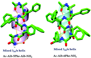 Graphical abstract: Atomic insight into short helical peptide comprised of consecutive multiple aromatic residues