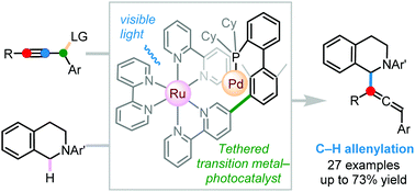 Graphical abstract: Tethered photocatalyst-directed palladium-catalysed C–H allenylation of N-aryl tetrahydroisoquinolines