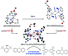 Graphical abstract: An end-on bis(μ-hydroxido) dimanganese(ii,iii) azide complex for C–H bond and O–H bond activation reactions