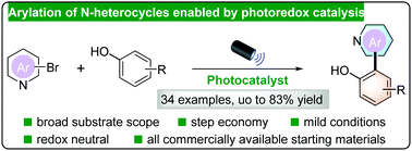 Graphical abstract: Direct arylation of N-heterocycles enabled by photoredox catalysis