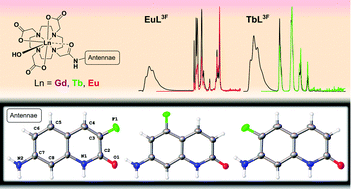 Graphical abstract: Tuning the photophysical properties of luminescent lanthanide complexes through regioselective antenna fluorination