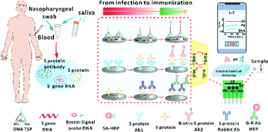 Graphical abstract: A smartphone-based three-in-one biosensor for co-detection of SARS-CoV-2 viral RNA, antigen and antibody