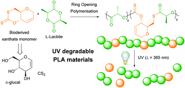 Graphical abstract: UV degradation of poly(lactic acid) materials through copolymerisation with a sugar-derived cyclic xanthate