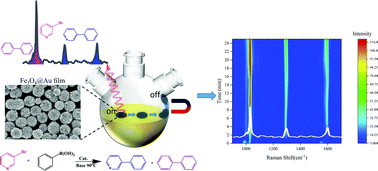 Graphical abstract: Real-time visualization of the Suzuki reaction using surface enhanced Raman spectroscopy and a moveable magnetic nanoparticle film