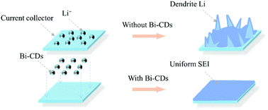 Graphical abstract: Bi-doped carbon dots for a stable lithium metal anode