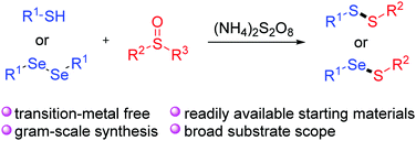 Graphical abstract: An (NH4)2S2O8-promoted cross-coupling of thiols/diselenides and sulfoxides for the synthesis of unsymmetrical disulfides/selenosulfides