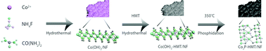 Graphical abstract: Hexamethylenetetramine induced multidimensional defects in Co2P nanosheets for efficient alkaline hydrogen evolution