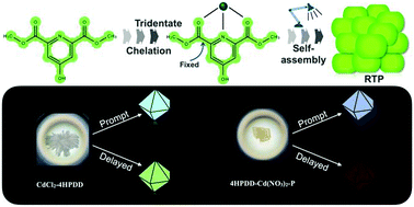 Graphical abstract: Chelation-activated ultralong room-temperature phosphorescence and thermo-/excitation-dependent persistent luminescence